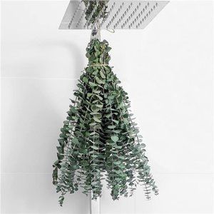 10Pcs Dried Eucalyptus Stems 17" Real Eucalyptus 100% Made from Fresh Eucalyptus